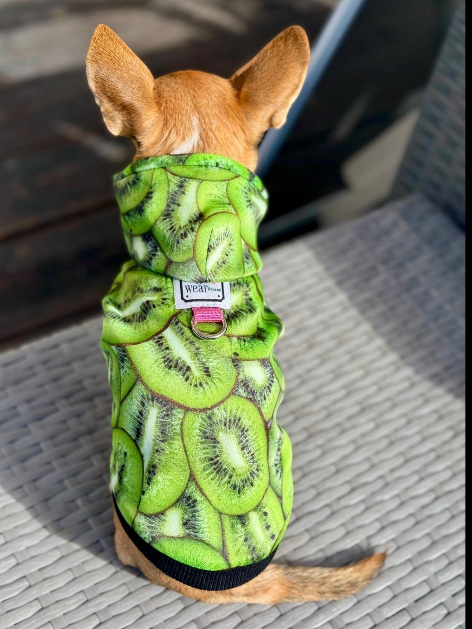 Kurtka przeciwdeszczowa Kiwi