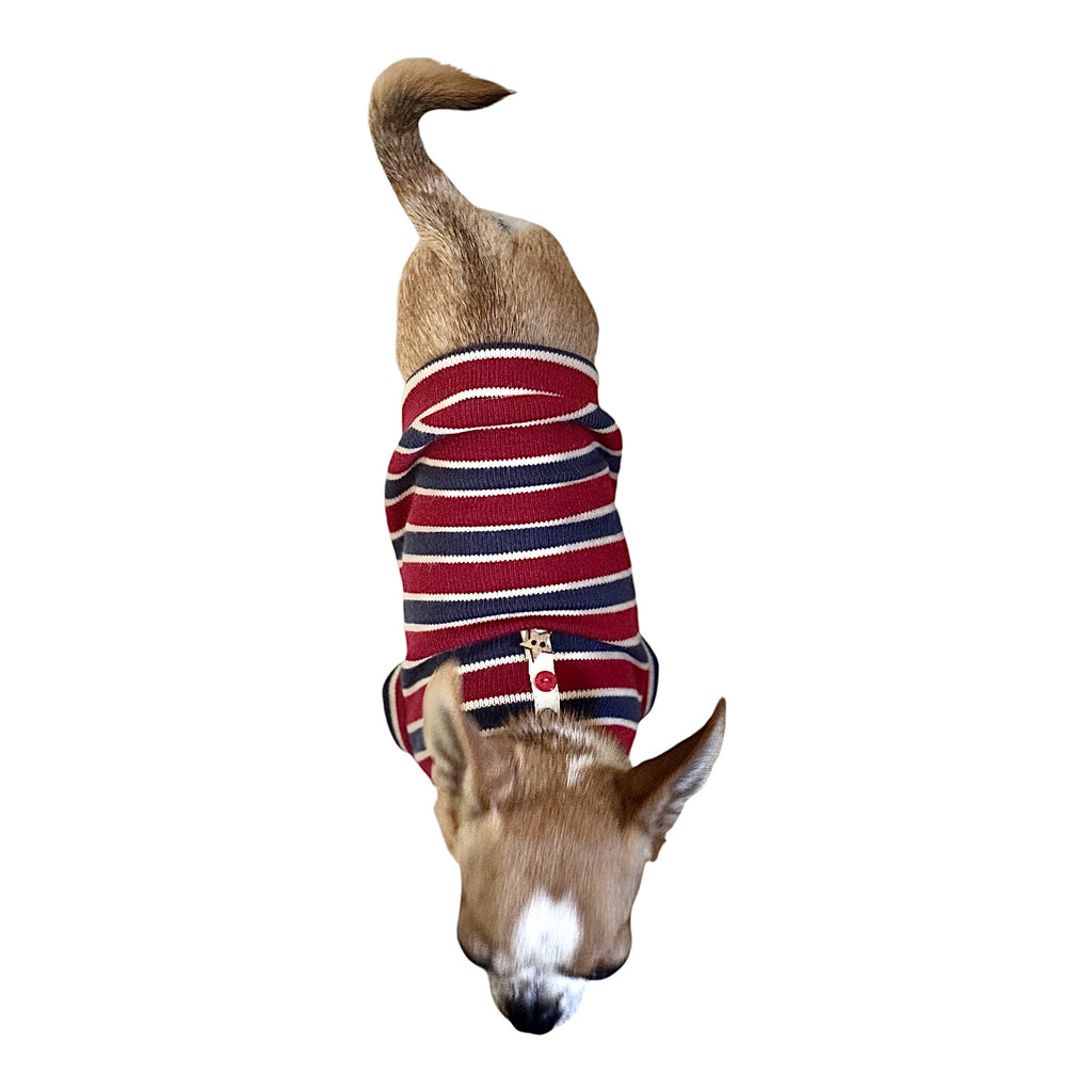 Striped dog sweater with decorative buttons