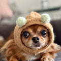 Camel dog hat
