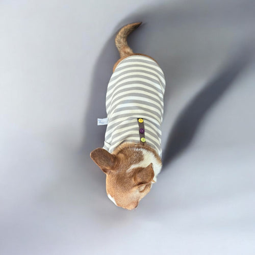 Stylish dog blouse in white and grey stripes