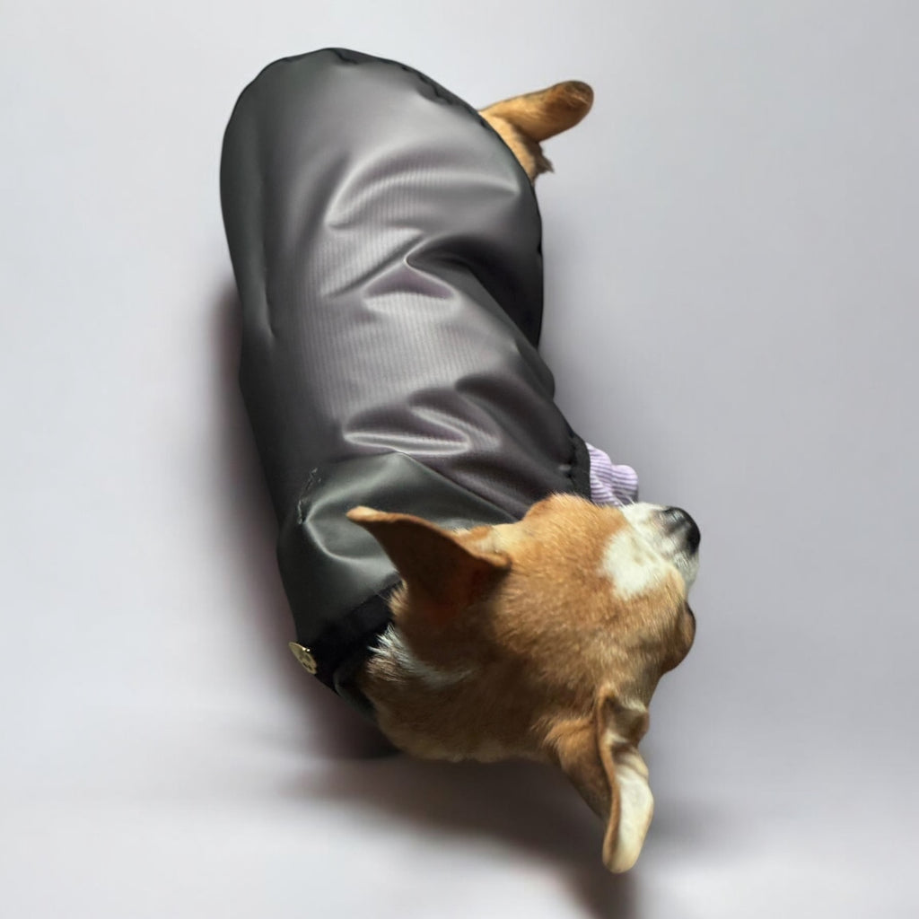 Storm - waterproof dog jacket with snaps and a hood
