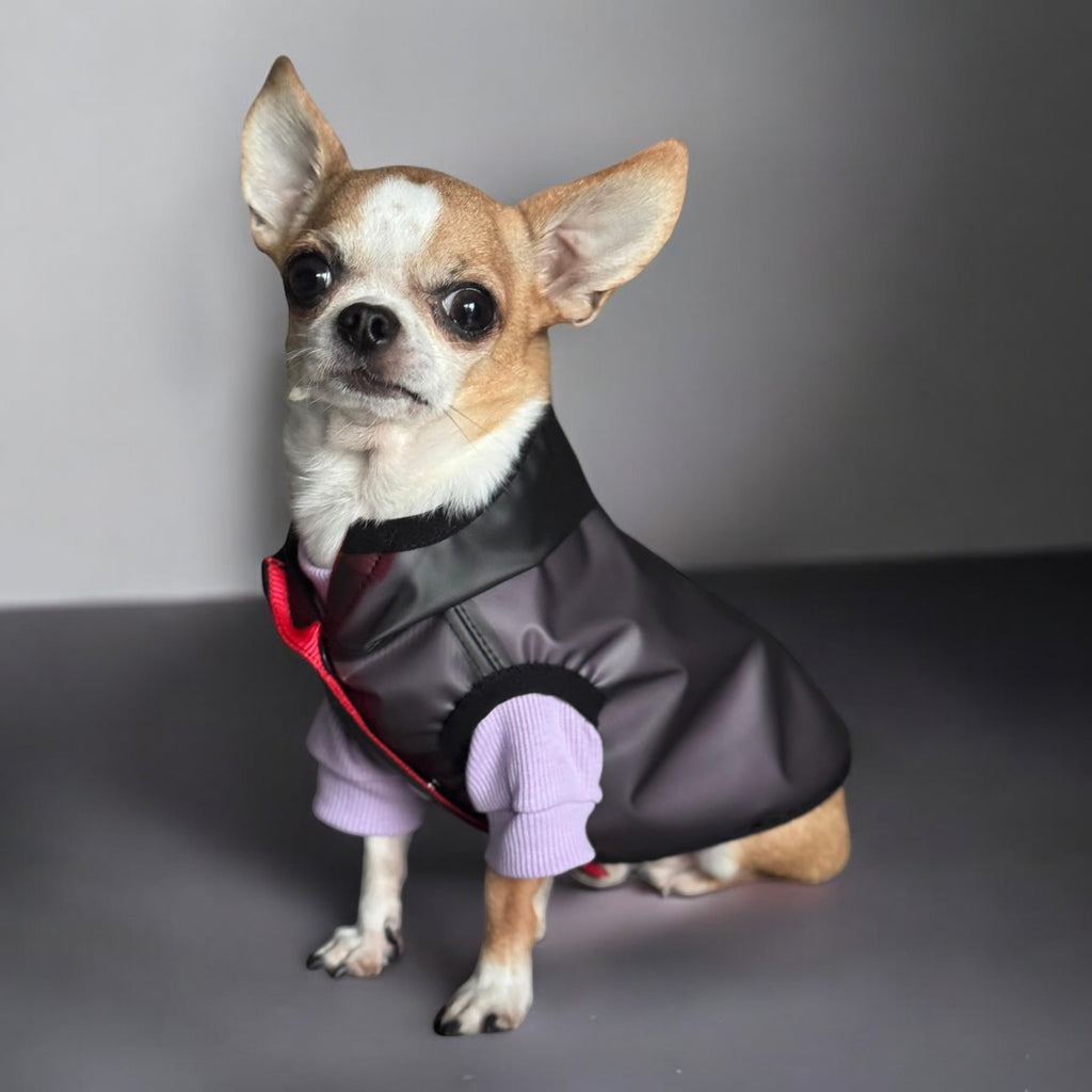 Storm - waterproof dog jacket with snaps and a hood