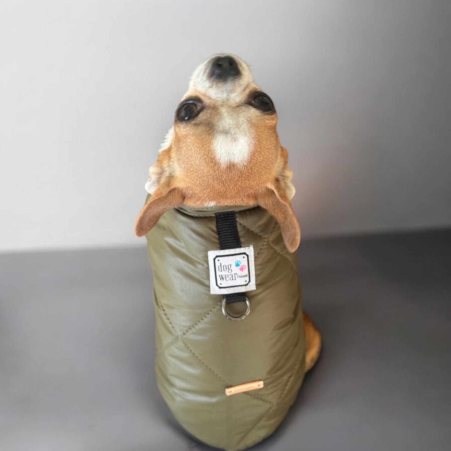 Wiosenna kurtka dl psa khaki