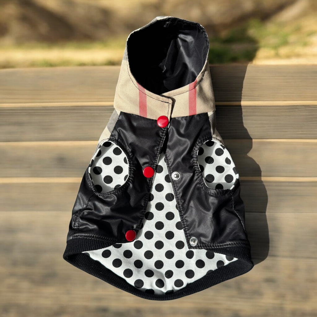 Stylish and Practical Raincoat for Dogs – Polish Craftsmanship