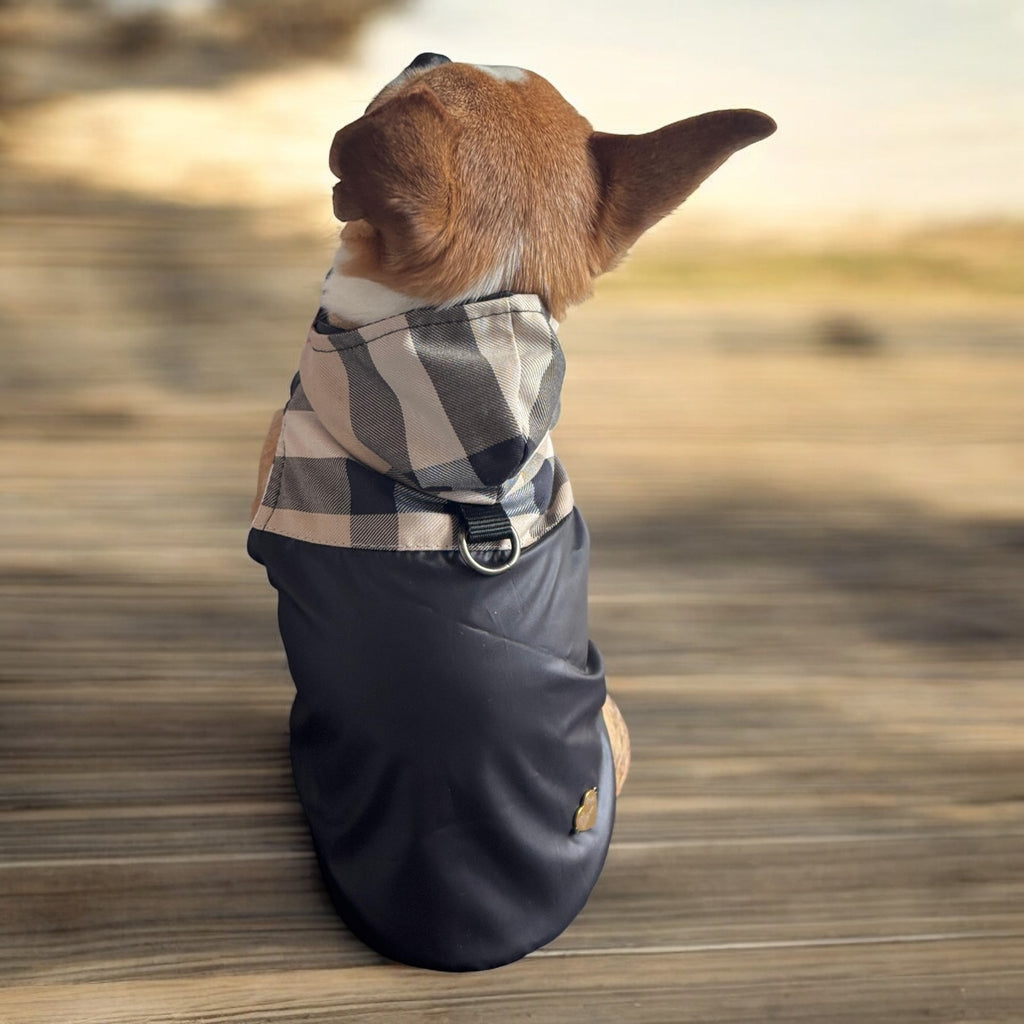 Stylish and Practical Raincoat for Dogs – Polish Craftsmanship