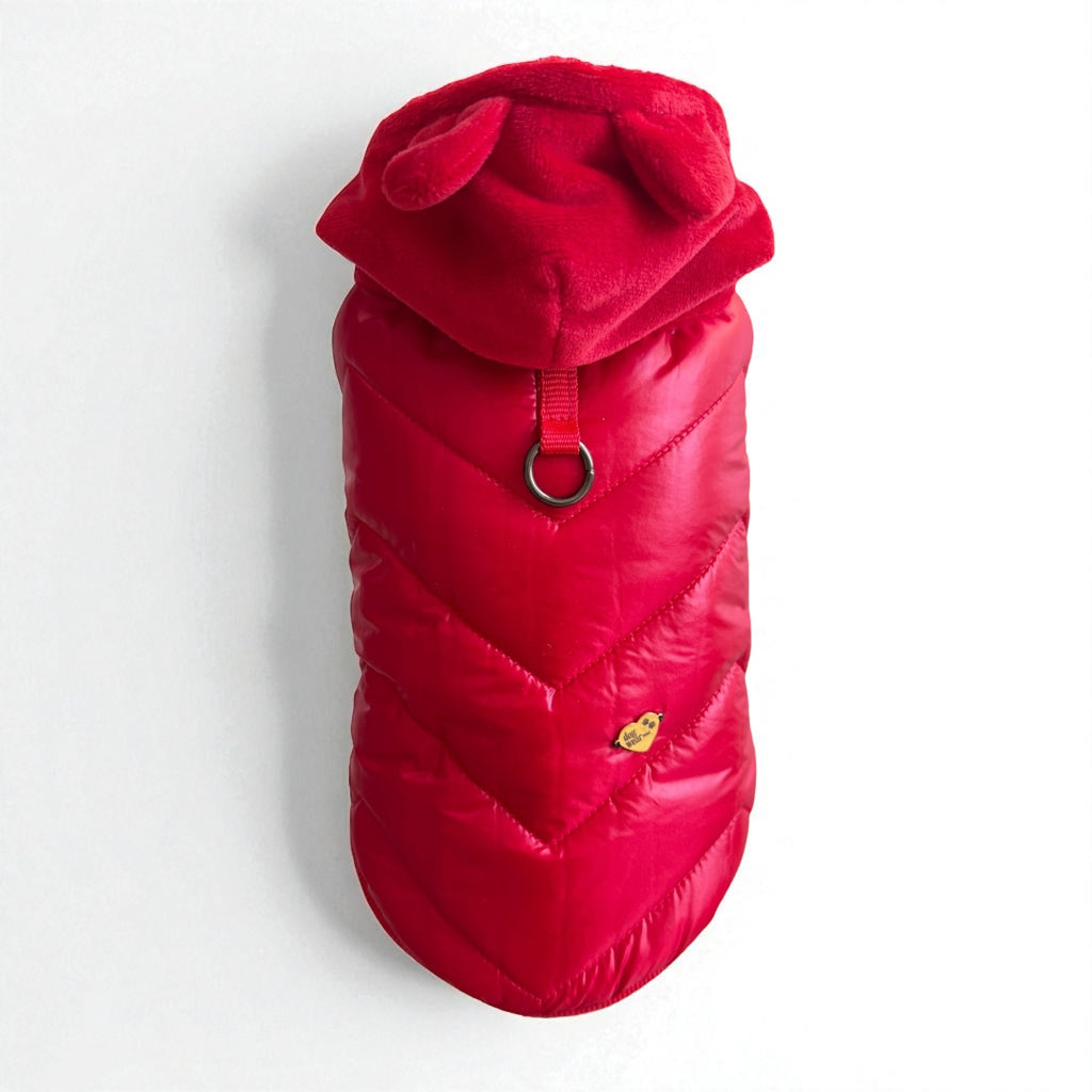 Winter dog jacket Red