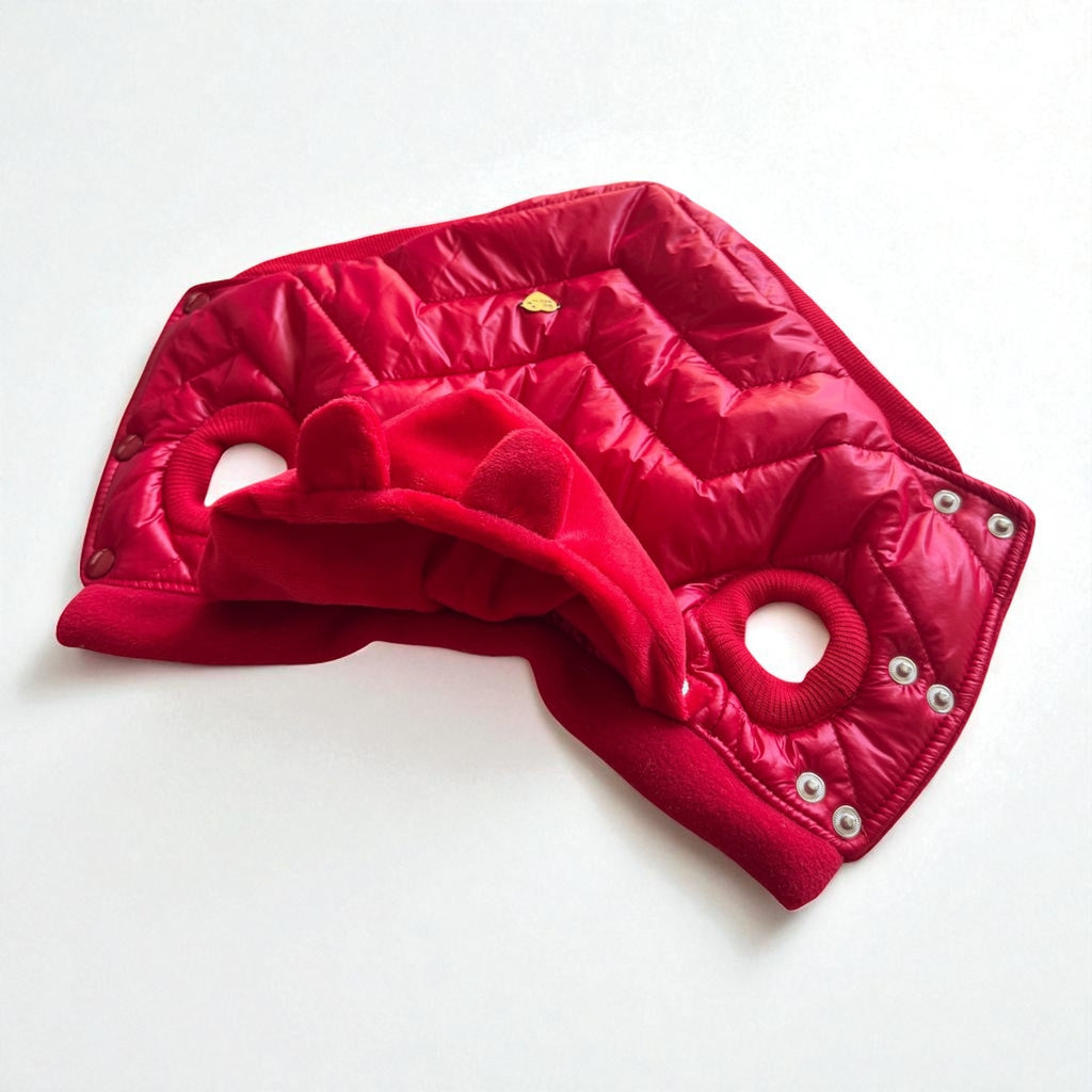 Winter dog jacket Red