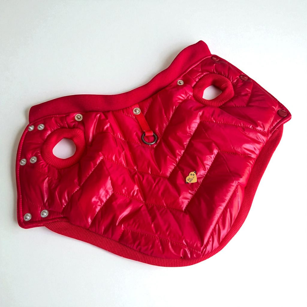Winter dog jacket Red