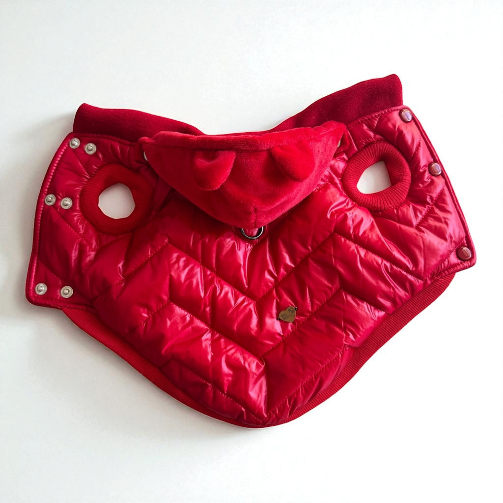 Winter dog jacket Red