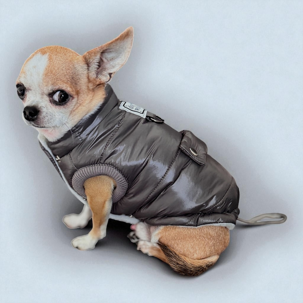 Arctic Paw – Quilted Winter Dog Jacket