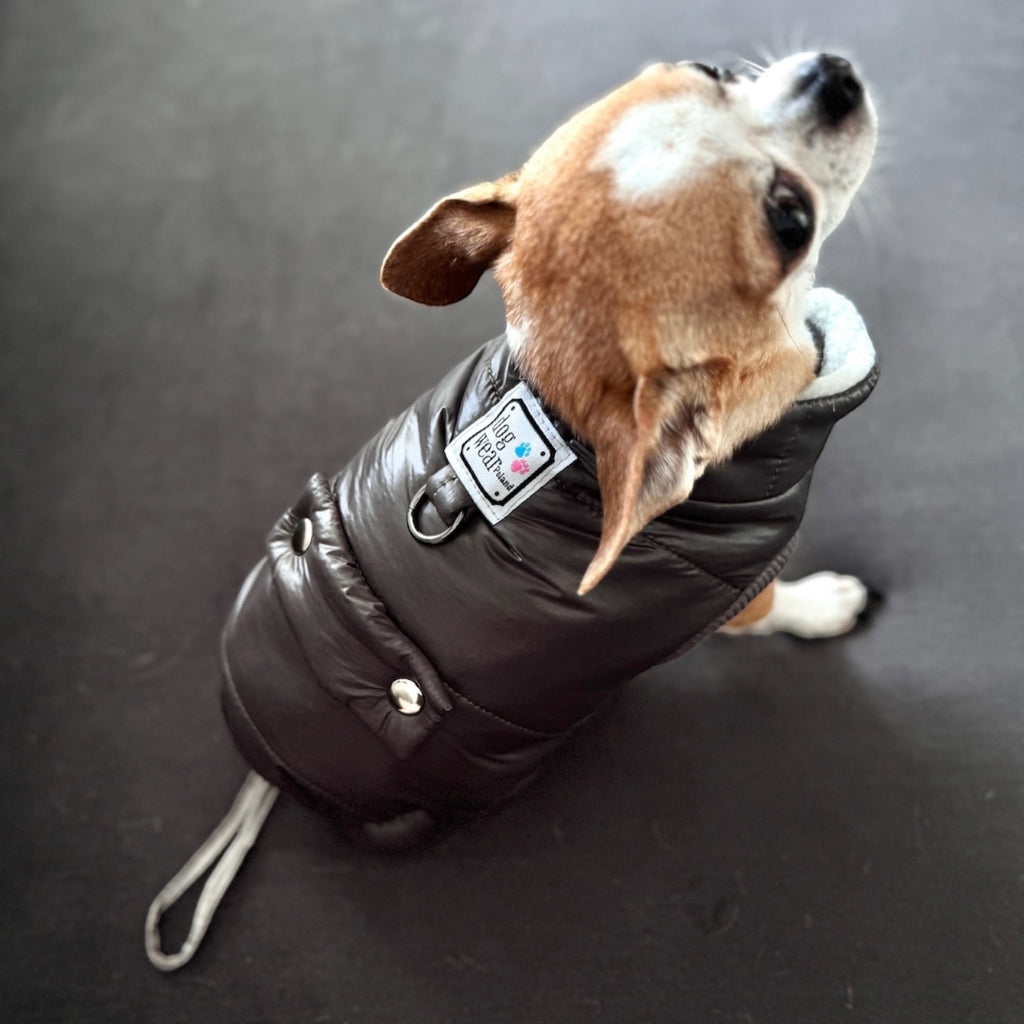 Arctic Paw – Quilted Winter Dog Jacket
