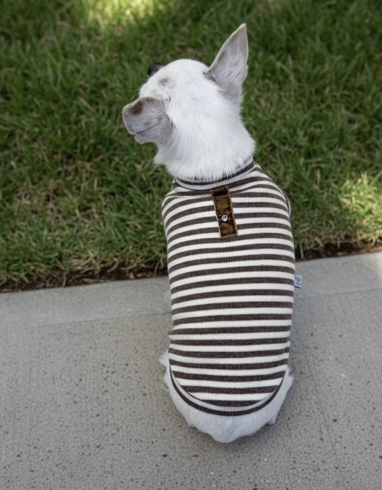 Stylish dog blouse in brown and beige stripes