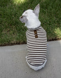 Stylish dog blouse in brown and beige stripes
