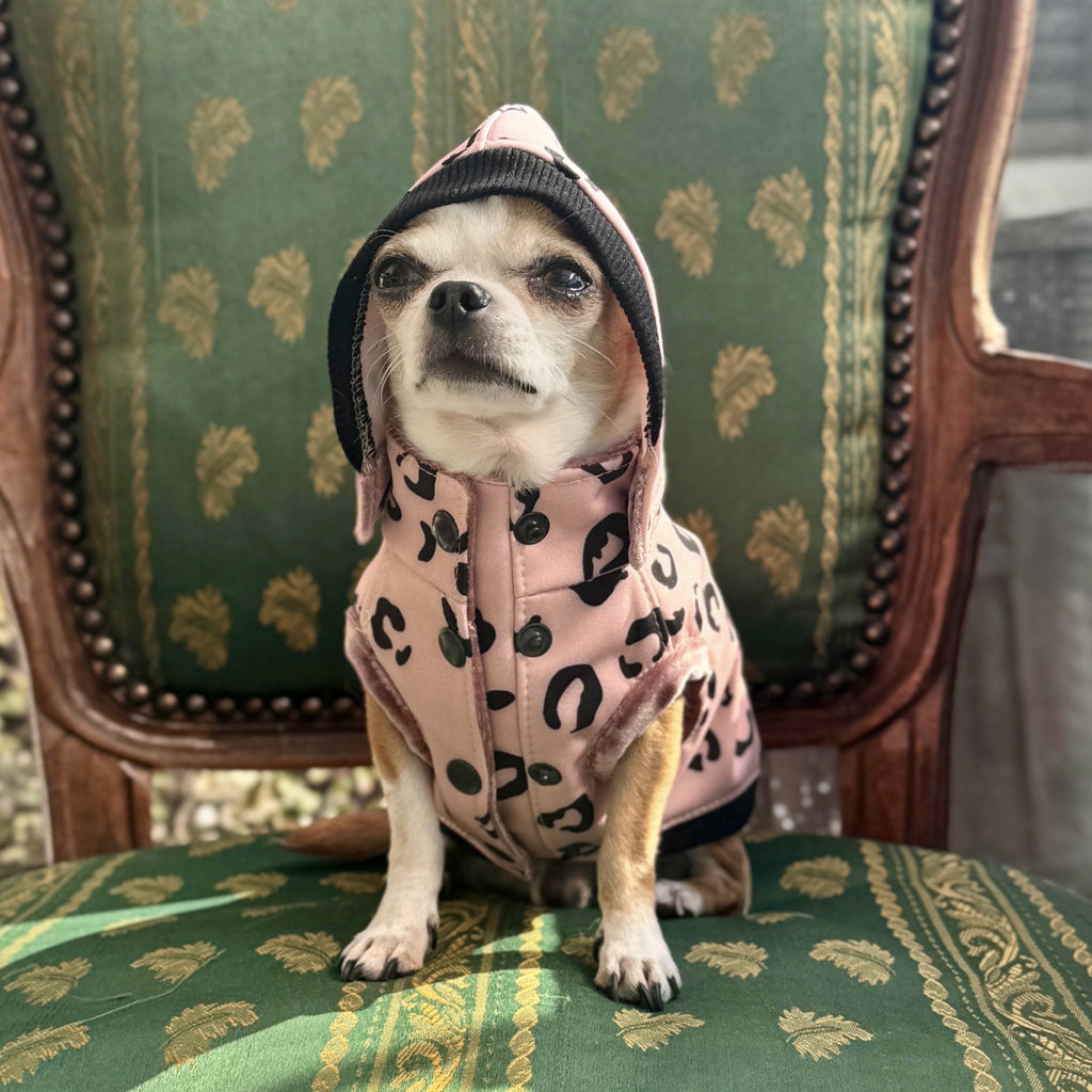 Dog rain jacket made of Softshell "Pink Panther"