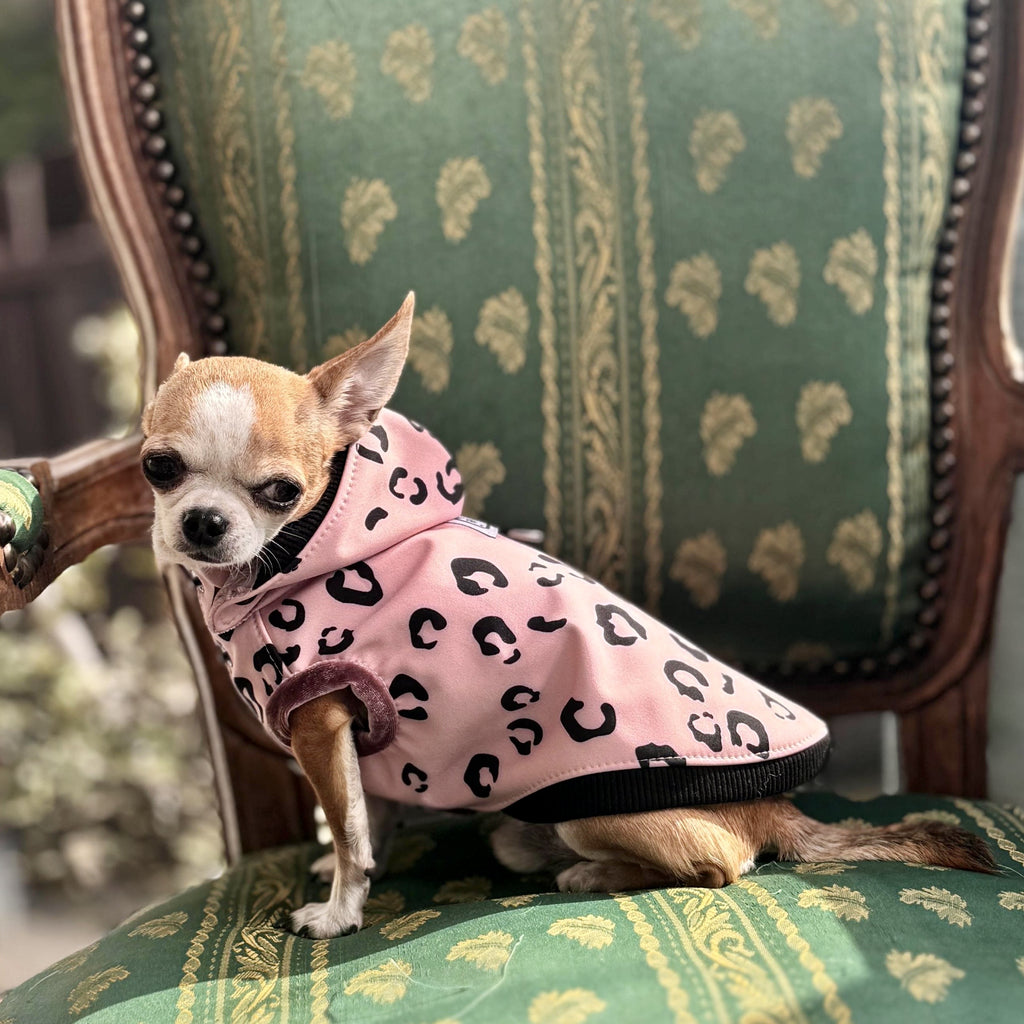 Dog rain jacket made of Softshell "Pink Panther"