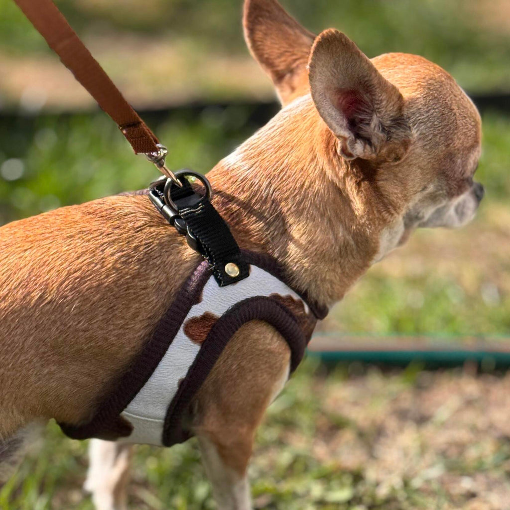 "Cow Print" Pressure-Free Harnesses – Handmade for small and mini breed dogs