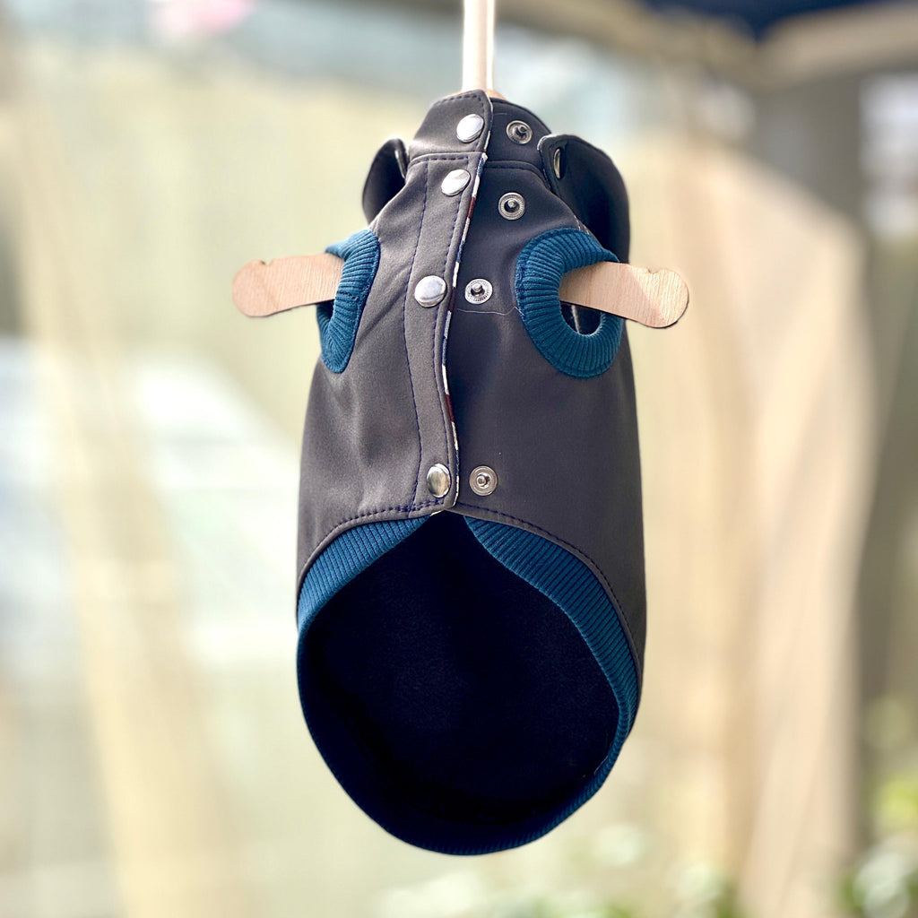 Kurtka Softshell dla psa "City Explorer"