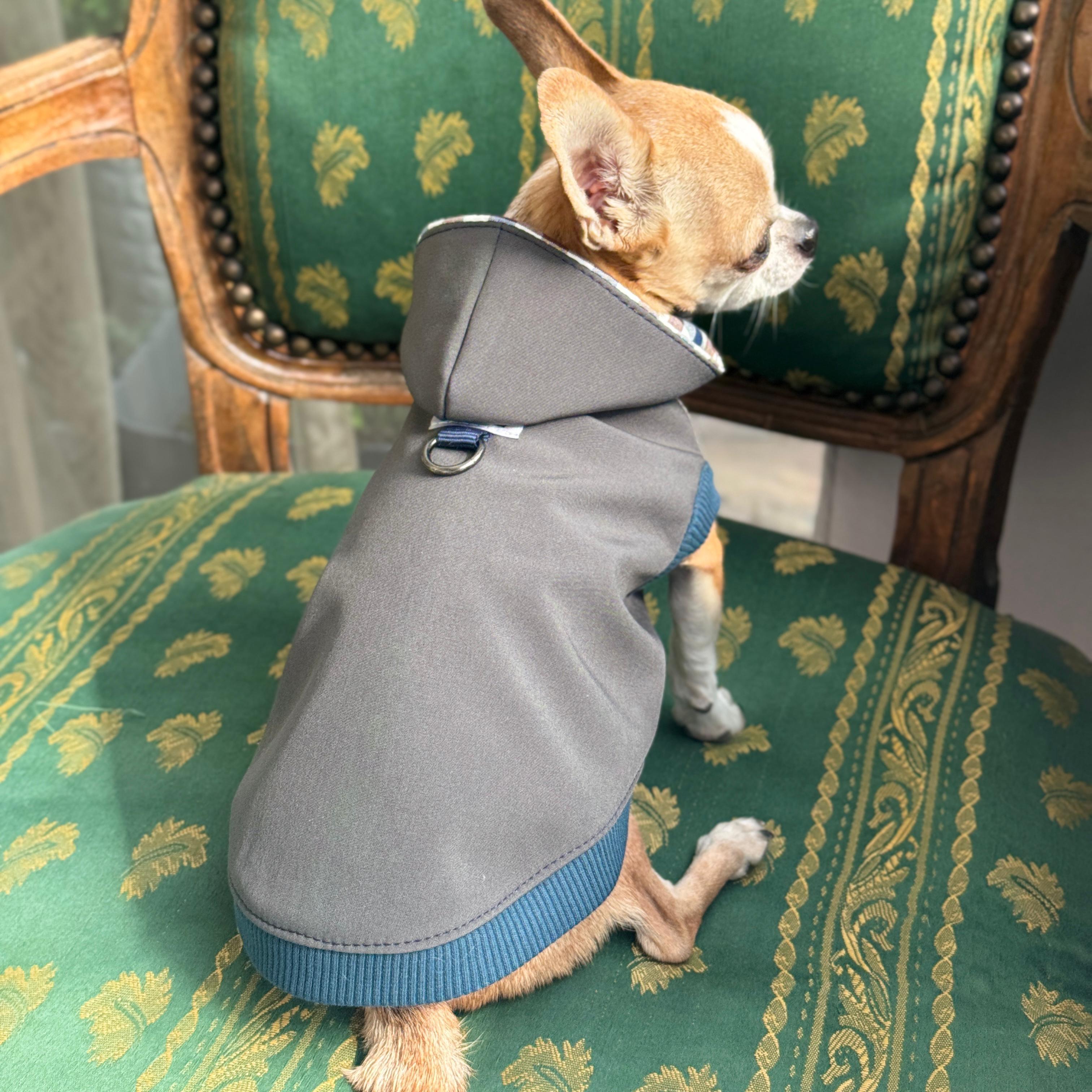 Kurtka Softshell dla psa "City Explorer"