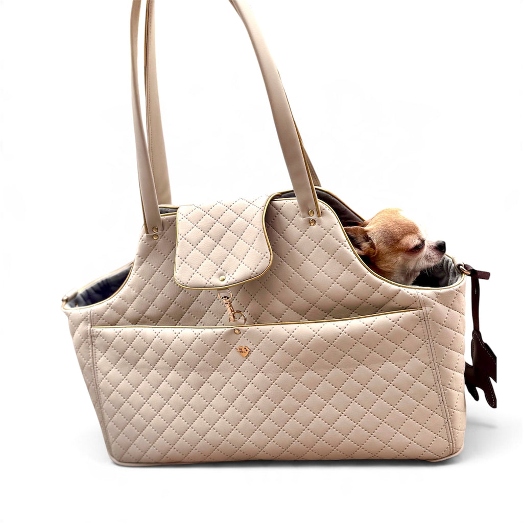 Chihuahua w beżowej torbie transportowej
